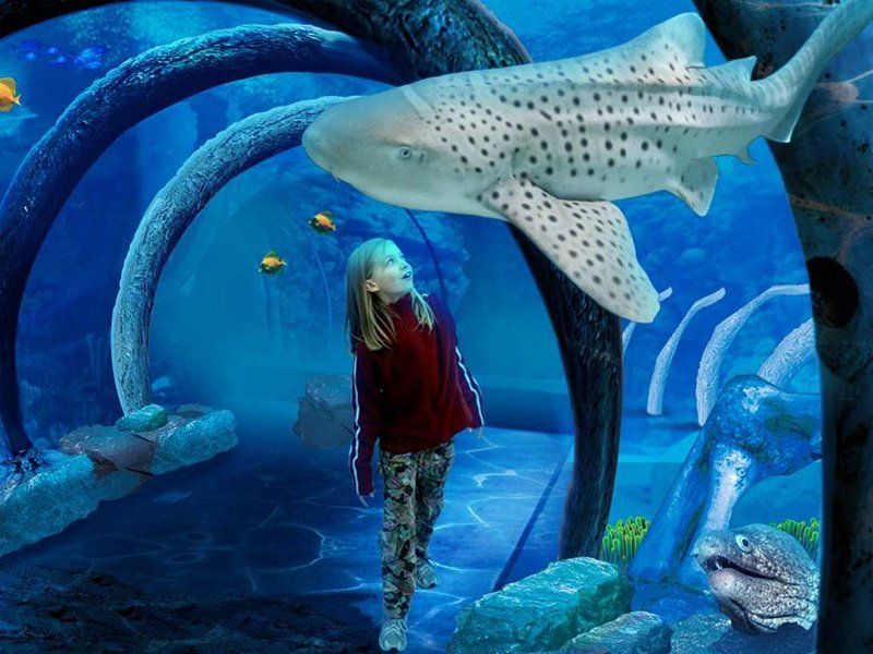 Морской центр Sea Life