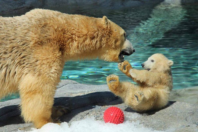 Океанариум Sea World