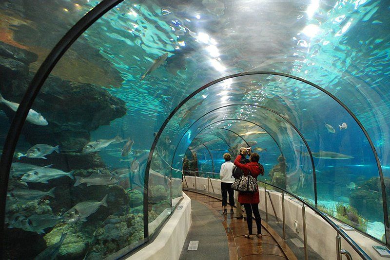Океанариум Underwater World