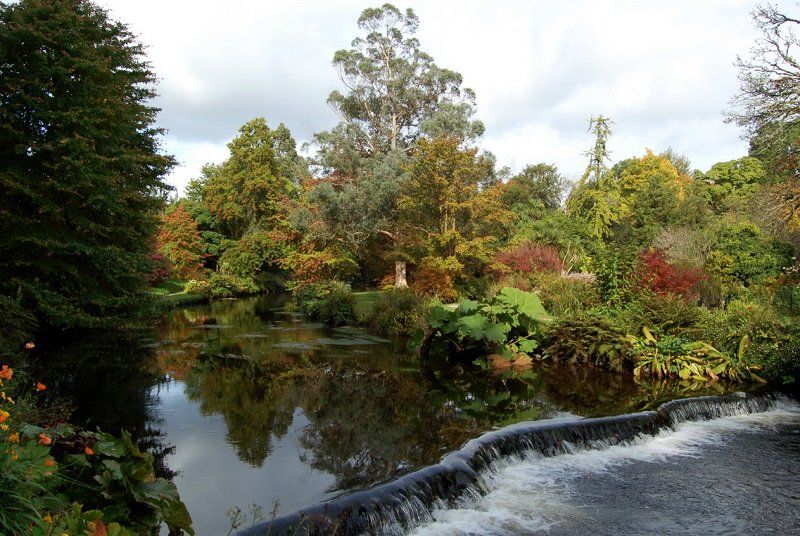 Экскурсия в сады Sion Hill House and Gardens