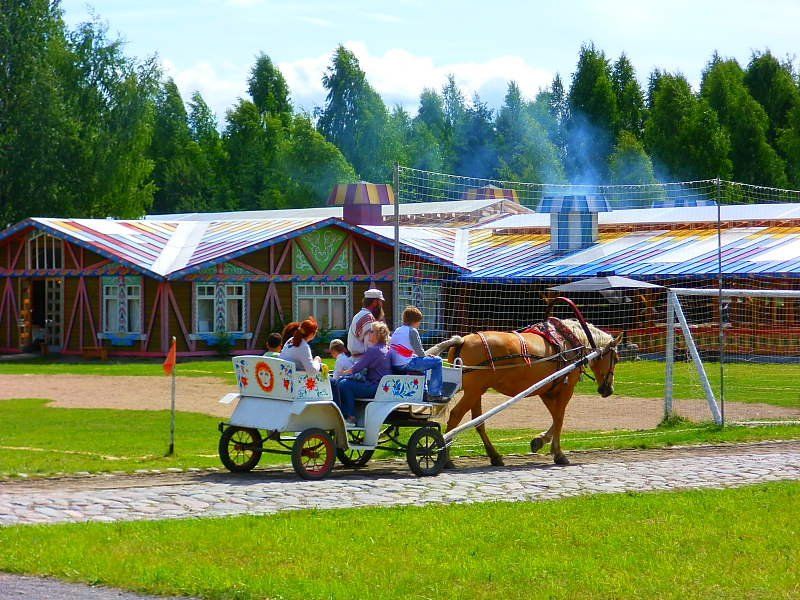 Конные прогулки