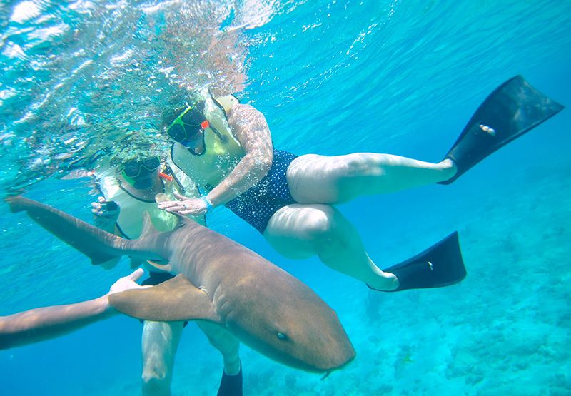 Сноркеллинг