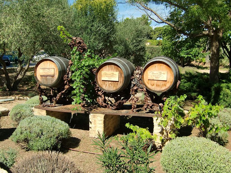 Виноградники Domaine Bunan