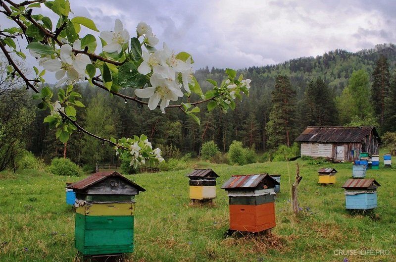 Аристово