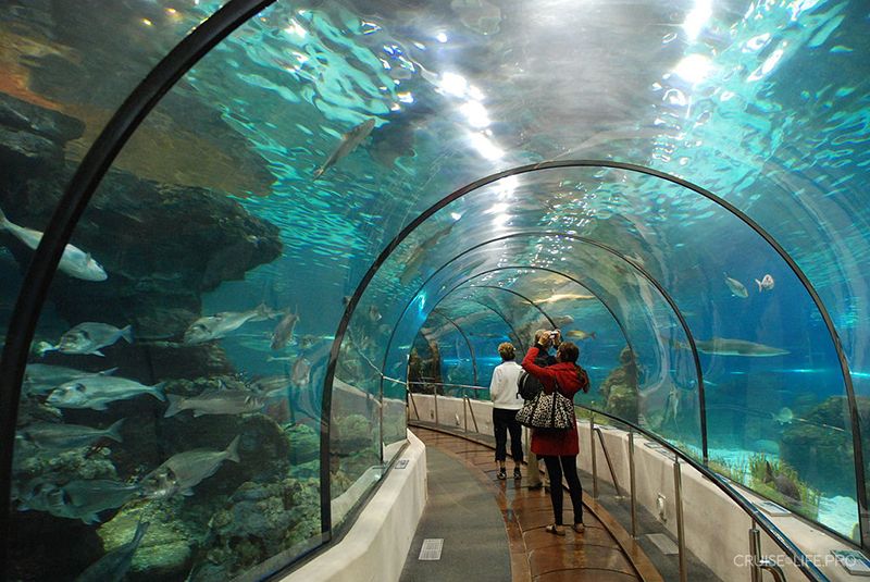 Океанариум Underwater World