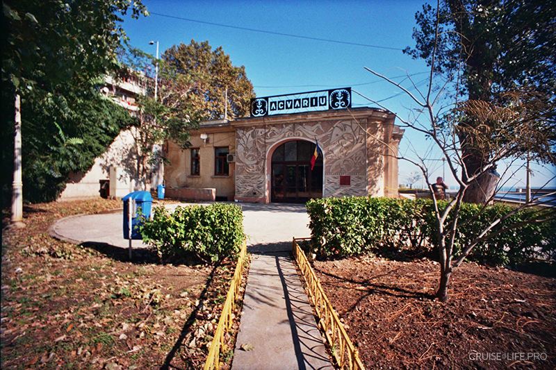 Аквариум