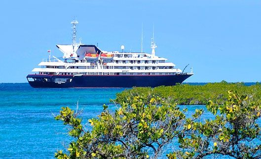 Silver Galapagos