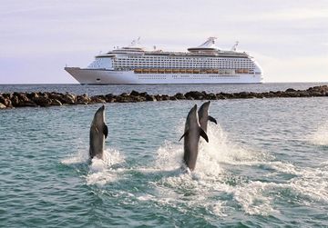 RCI_Adventure_CuracaoDolphins