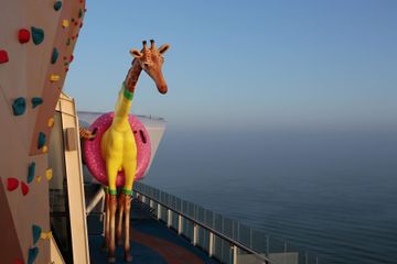RCI_AN-Giraffe01F