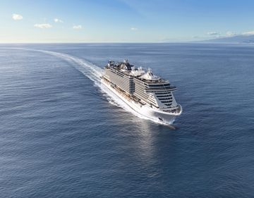 MSC18015475