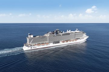 MSC17013564