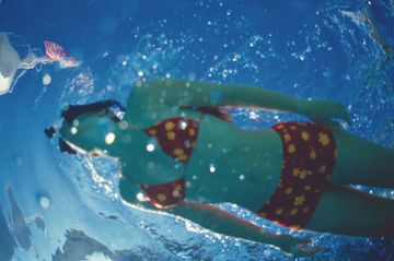RCI_Voyager_Snorkeling_5UR