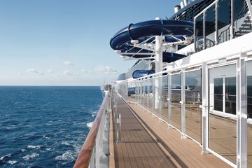 MSC13012060