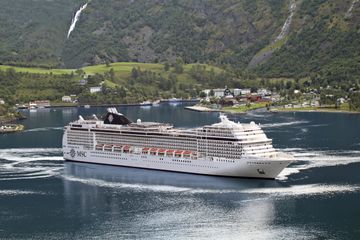 MSC13013345