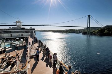 MSC13013286