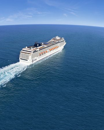MSC17011351