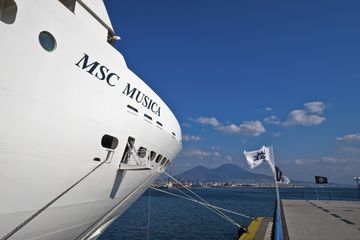 MSC13013842