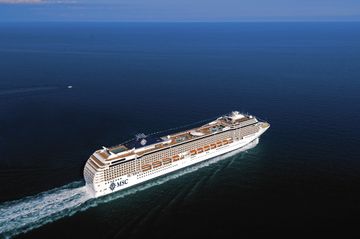 MSC13013832