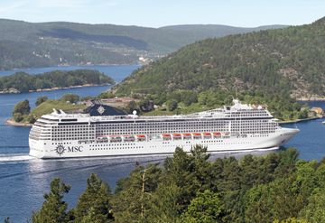 MSC13013870