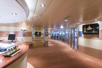 MSC15005029
