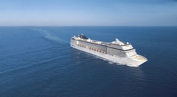 MSC13014363