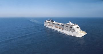 MSC18015033