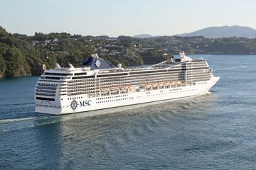 MSC13014585