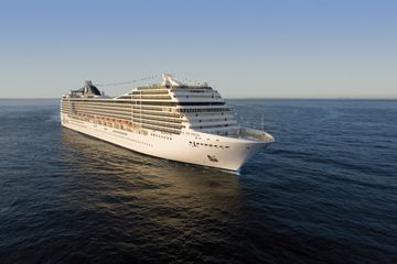 MSC13014385