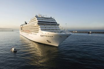 MSC13014510