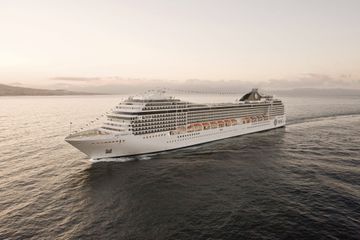 MSC13014658