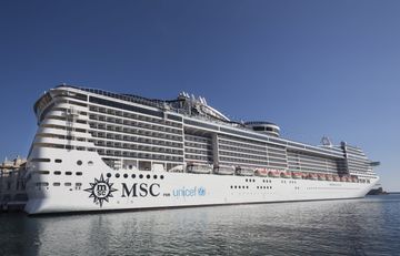 MSC16008781