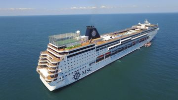 MSC16006210
