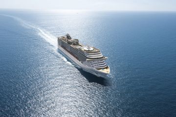 MSC13015406