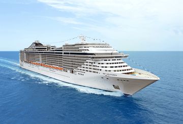 MSC13015458