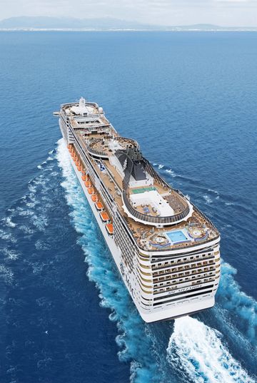 MSC13015475