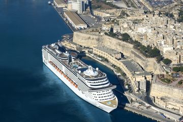 MSC13015338