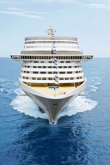MSC13015488