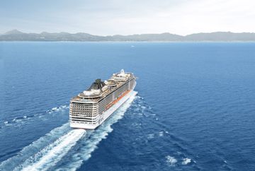 MSC13015743