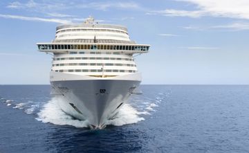 MSC13015945