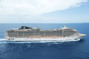 MSC13016053