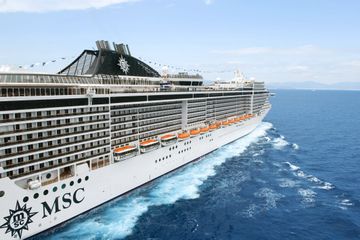 MSC13016050