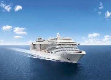 MSC13015955