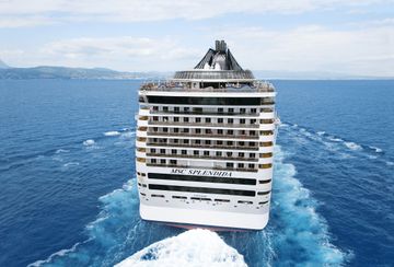MSC13015876