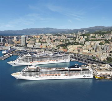 MSC13016072