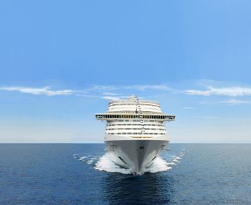 MSC15006124