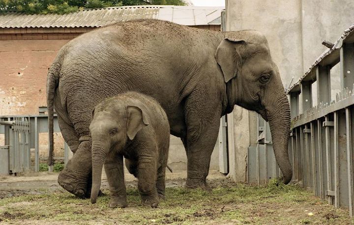 Zoo — Одесса, Украина