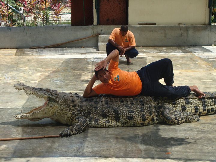 TamanBuayaCrocodileFarm — Лангкави, Малайзия