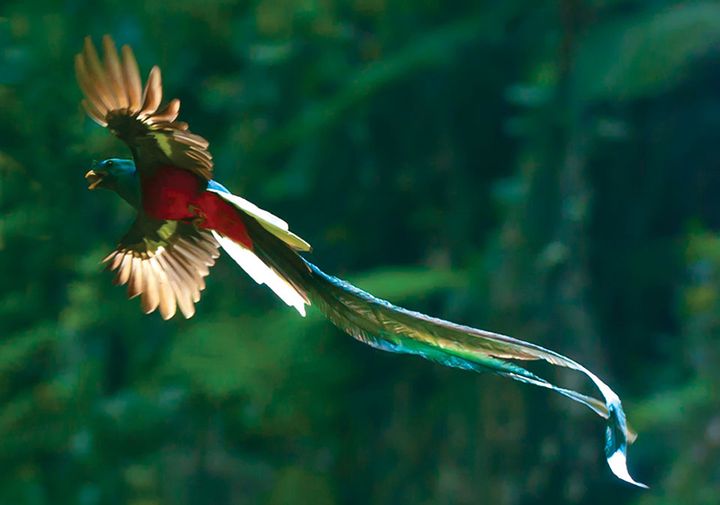 QuetzalPark — Санто-Томас-де-Кастилья, Гватемала