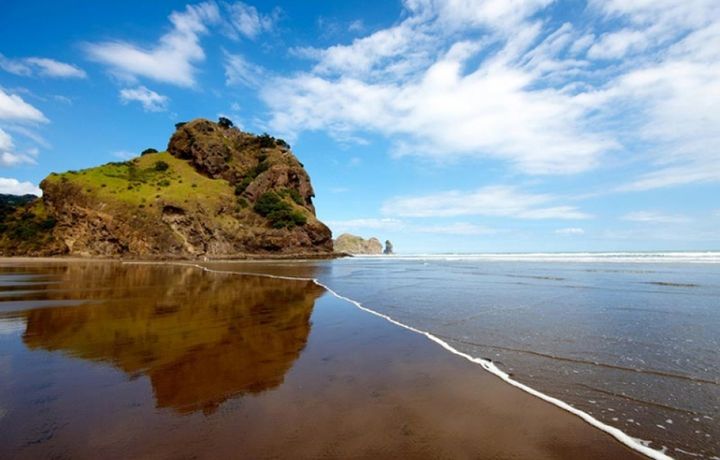 WaitakereRangesPark — Окленд, Новая Зеландия