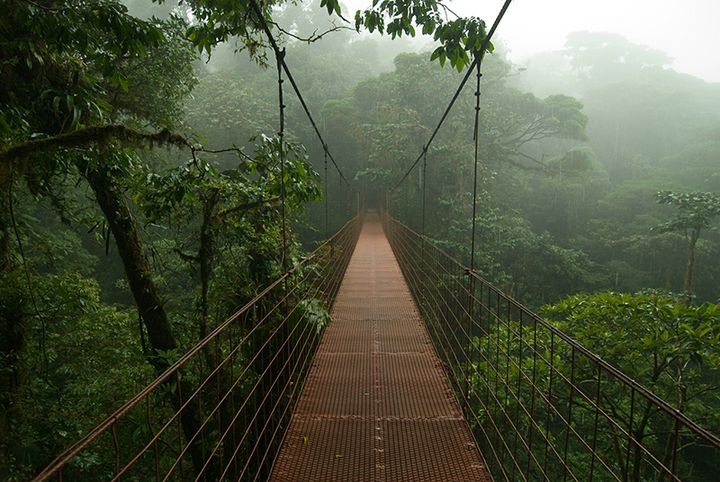 MonteverdeNationalPark — Калдэра, Коста Рика